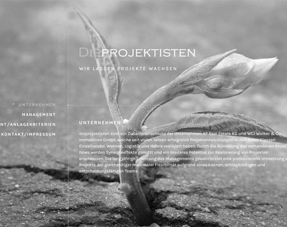 dieprojektisten GmbH
